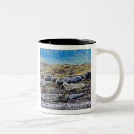 Familie der Seelöwen Zweifarbige Tasse