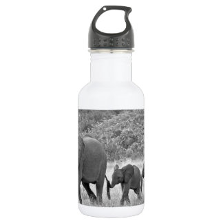 Familie der südafrikanischen Elefanten Trinkflasche
