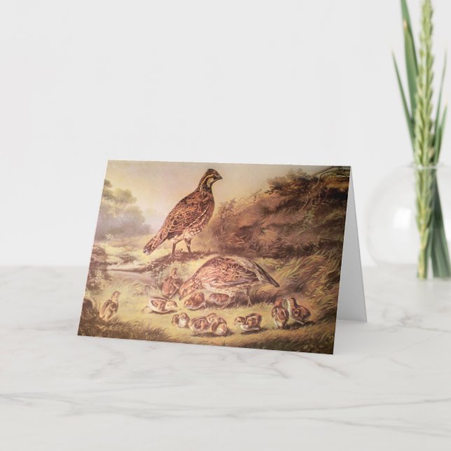 Familie der Wachtel-Gruß-Karte Karte (Vorderseite)