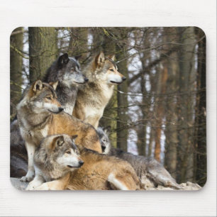 Familie der Wölfe Mousepad