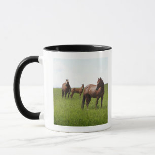 Familie des Pferds auf dem Gebiet Tasse
