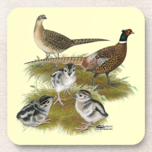 Familie des Ringhalsfasan Untersetzer