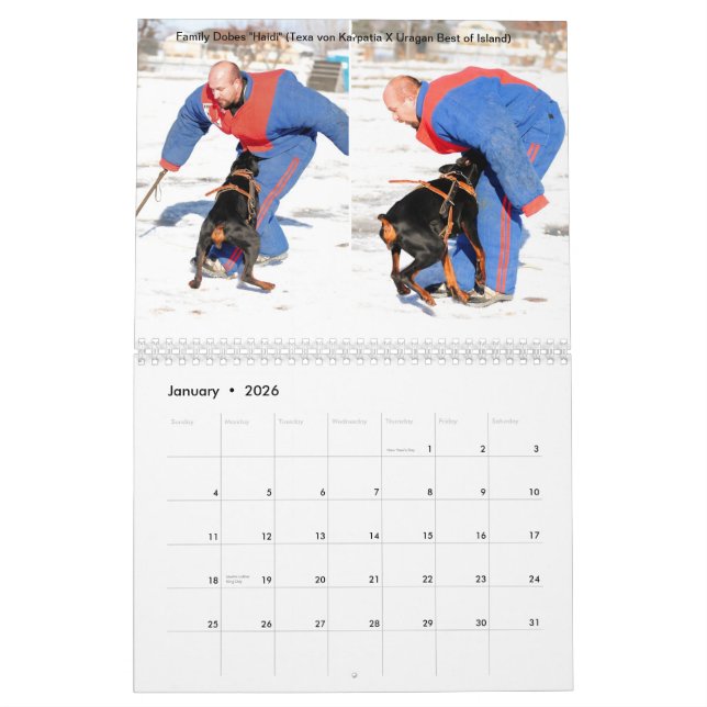 Familie Dobes Schutz-Kalender 2013 Kalender (Jan 2026)