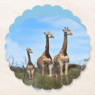 Familie Giraffe auf Grassy Hilltop Untersetzer
