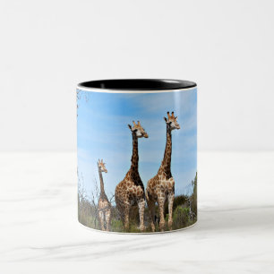 Familie Giraffe auf Grassy Hilltop Zweifarbige Tasse