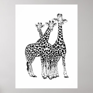 Familie Giraffe Poster