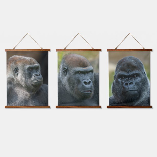 Familie Gorilla - Ozala Lope und Oumbi Wandteppich Mit Holzrahmen (Dreifach)