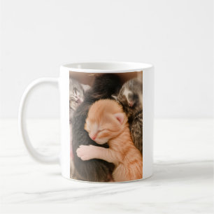 Familie ist alles, Kätzchen-Kaffeetasse Kaffeetasse