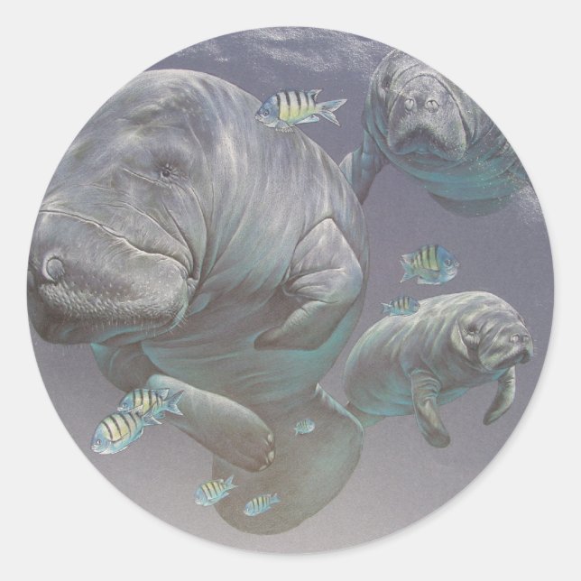 Familie Manatee Runder Aufkleber (Vorderseite)