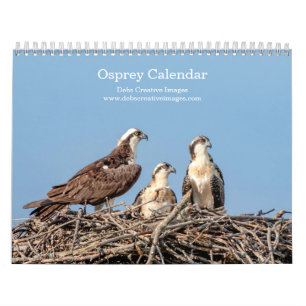Familie Osprey 2025 Kalender