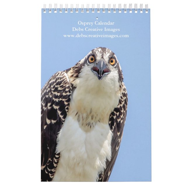 Familie Osprey 2026 Kalender (Titelbild)