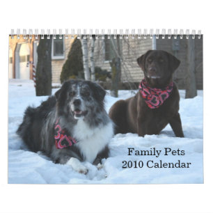 Familie Pets 2010 Kalender 2