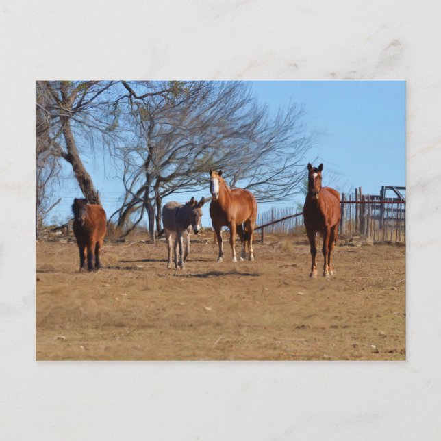 Familie und Freunde Postkarte (Vorderseite)