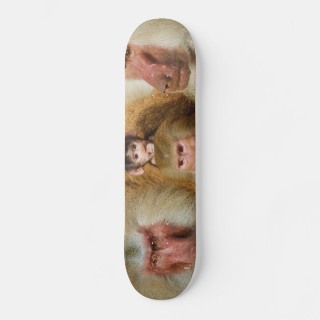 Familie von Baboons Papio Hamadryas Köln Zoo Skateboard (Vorderseite)