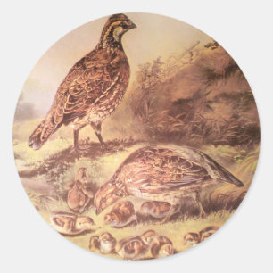 Familie von Wachtel-Aufkleber Runder Aufkleber