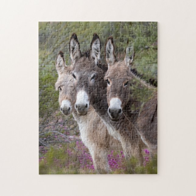 Familie Wild Burro Puzzle (Vertikal)