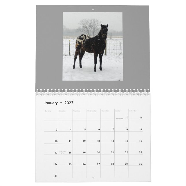 FamilieAppaloosas 2011 Kalender (Jan 2027)