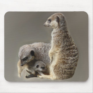 Familien-Krawatten Mousepad