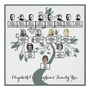 Familienfotos mit floraler Baum-Grüner Silhouette Poster