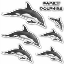 FAMILIENHÄUFIGES DOLPHIN