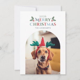 Familienhaustier-Foto Frohe Weihnachten Mistelzwei