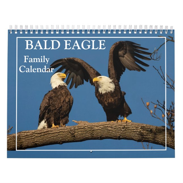Familienkalender von Bald Eagle Kalender (Titelbild)