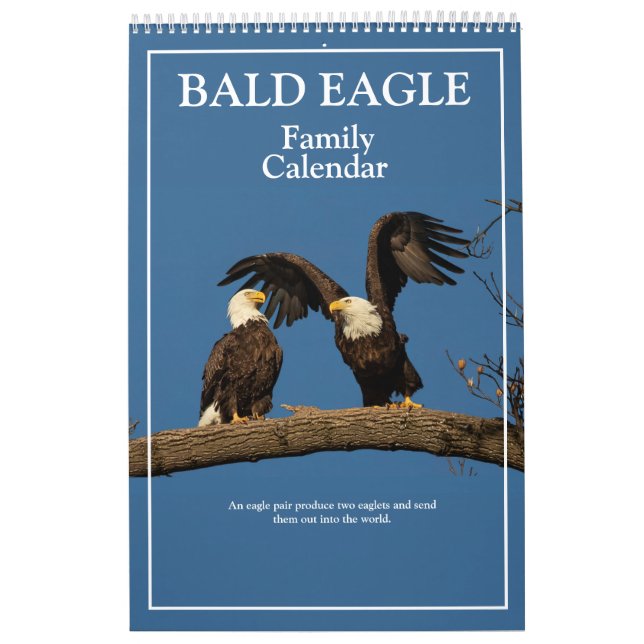 Familienkalender von Bald Eagle Kalender (Titelbild)