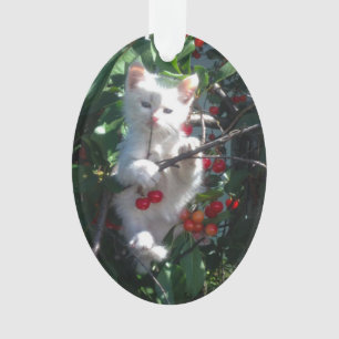 Familienkatzenfoto als Andenken Ornament