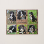 Familiensammlung 6 Fotos Hund und Familienname Puzzle<br><div class="desc">Familienname,  benutzerdefiniertes Foto Collage Jigsaw Puzzle Sie können es personalisieren und fügen Sie Ihre schönsten Fotos,  Name Ihres Hundes und Familienname. Großer Spaß !</div>