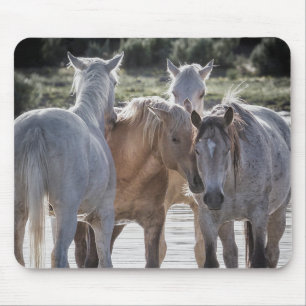 Familienzeit Mousepad