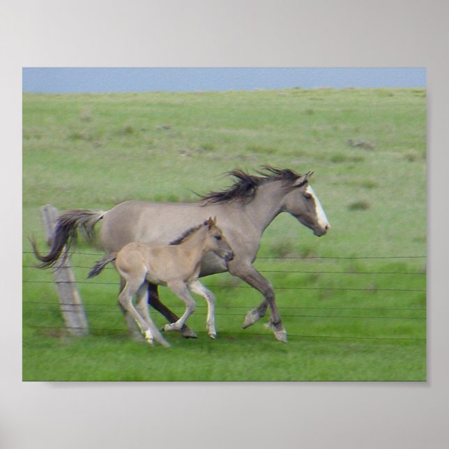 FamilieRun Poster (Vorne)