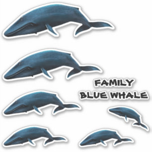 FAMILY BLAUE WALE AUFKLEBER