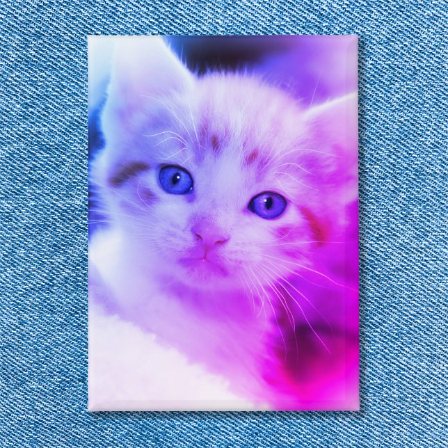 Family Cat Foto Blue Pink Ombre Button (Family Cat Photo Blue Pink Ombre Button)