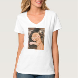 Family Is Everything, Kitten T-Shirt
