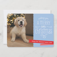 FAMILY PET Moderne whimsistische Typografie rot bl