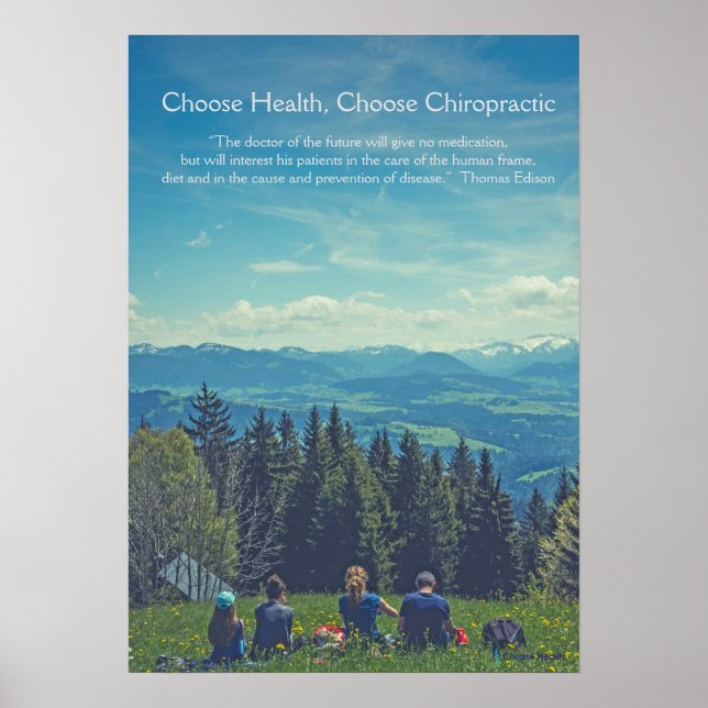 Family Picnic Chiropractic Poster (Vorne)