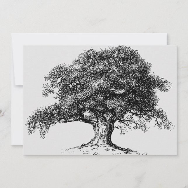 Family Tree Herkunft Wiedersehen Party Grau Ankündigung (Vorderseite)