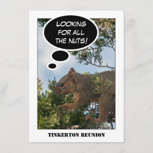 Family Wiedersehen Eichhörnchen auf der Suche nach Einladung