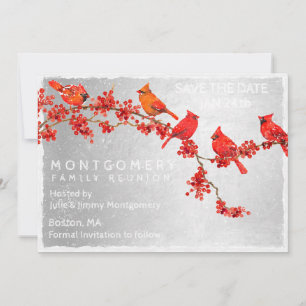 Family Wiedersehen Red Kardinal Winter Save The Date