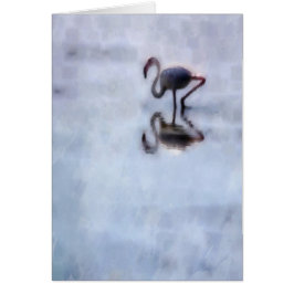 Famingo wandern im Heidelwasser