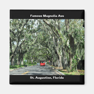 Famous Magnolia Avenue Magnet