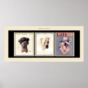 Famous Pit Bulls Poster