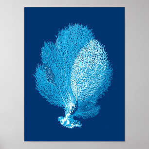 Fan Coral Sea Life Print, Indigo Blue und White Poster