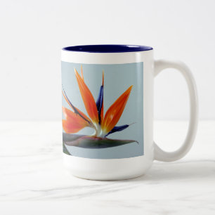 Fan der Paradise-Tasse Zweifarbige Tasse