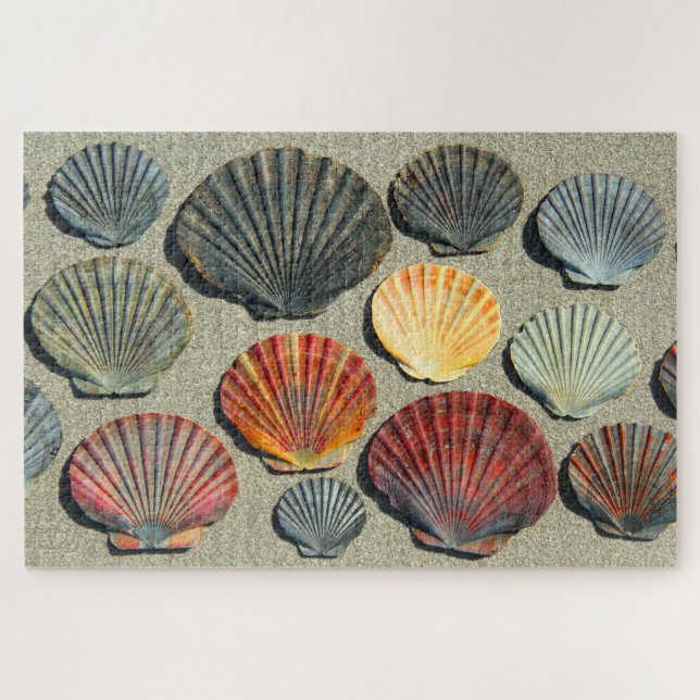 FAN-MUSCHELN 20x30 INCH Puzzle (Horizontal)