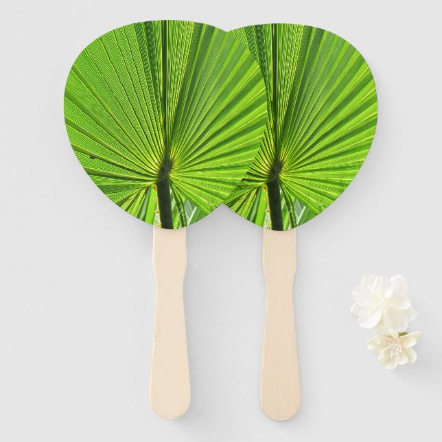 Fan - Palm Frond Fächer (Vorne und Hinten)