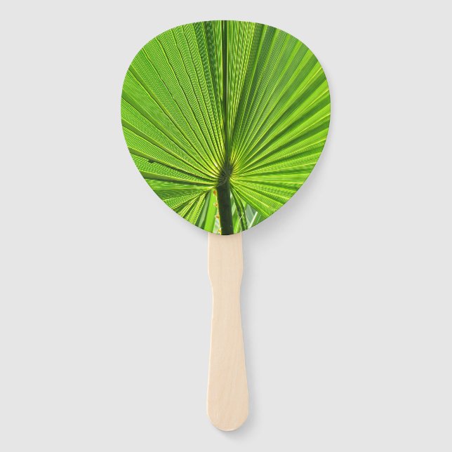 Fan - Palm Frond Fächer (Vorderseite)