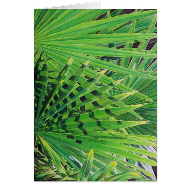 Fan-Palme (Vorne)