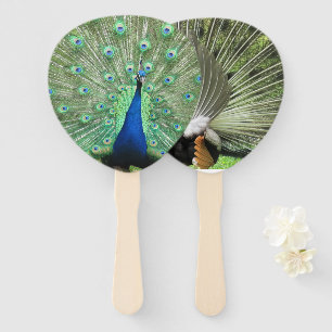 Fan - Pfau Fächer
