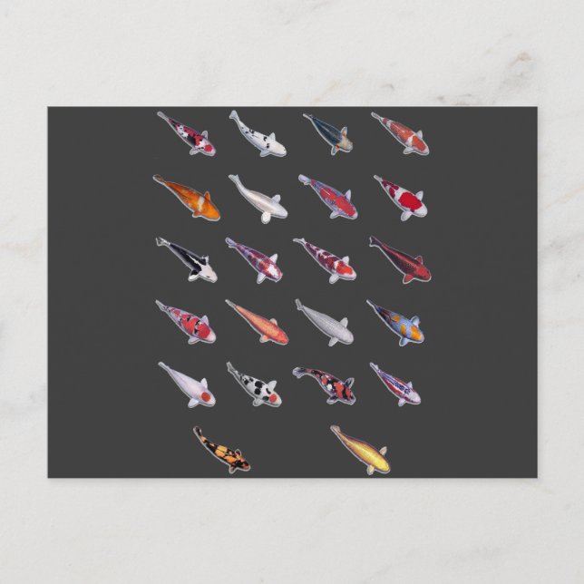 Fanatical Über Koi Postkarte (Vorderseite)